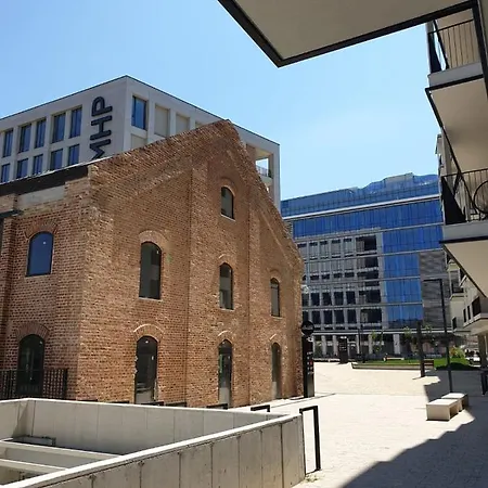 Blue Record Vibe Kolozsvár