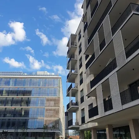 Apartment Blue Record Vibe