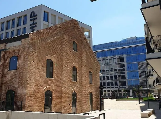 Blue Record Vibe Kluž